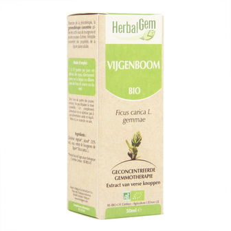 HERBALGEM VIJGENBOOM MACERAAT 50ML