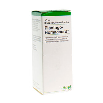 PLANTAGO-HOMACCORD GUTT 30ML HEEL