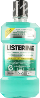 LISTERINE TAND EN TANDVLEES BESCHERMING 500ML