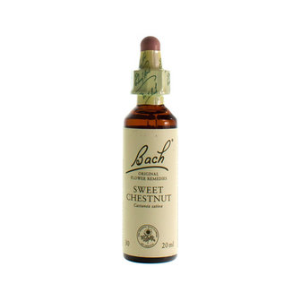 BACH FLOWER REMEDIE 30 SWEET CHESTNUT 20ML