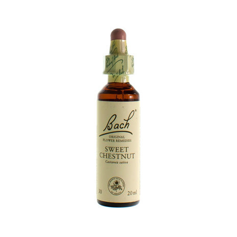 BACH FLOWER REMEDIE 30 SWEET CHESTNUT 20ML