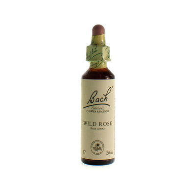 BACH FLOWER REMEDIE 37 WILD ROSE 20ML